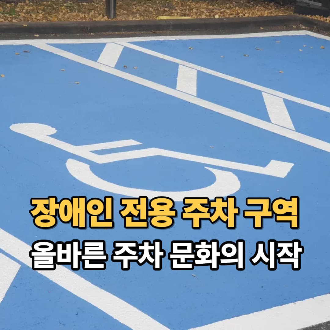 장애인 전용 주차 구역