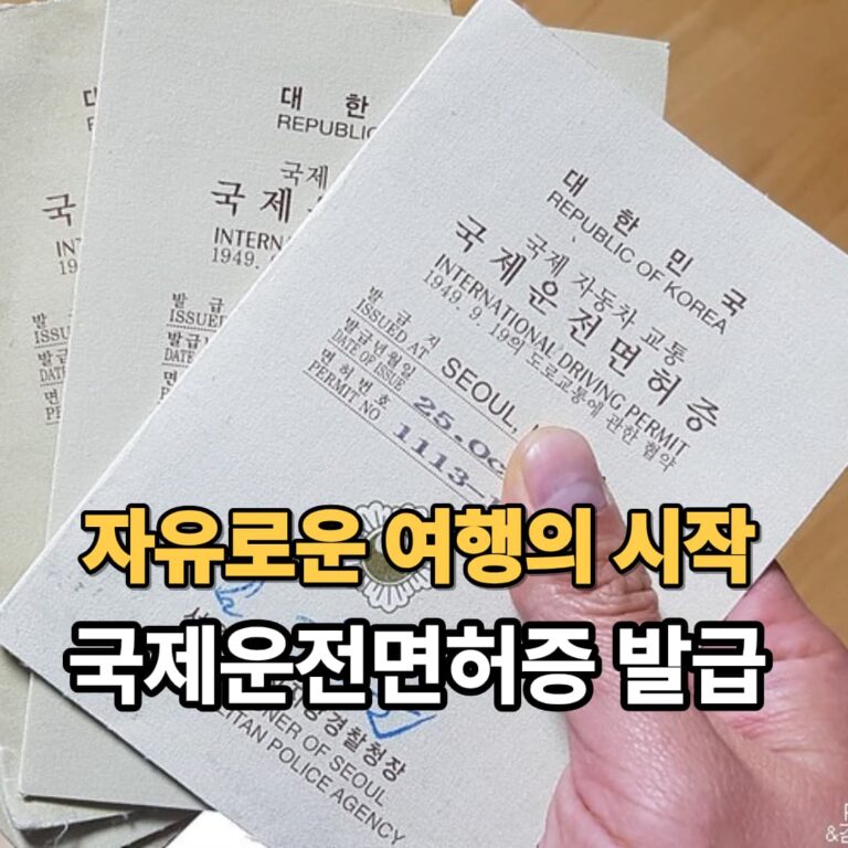 국제운전면허증