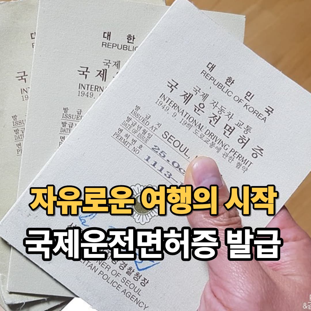 국제운전면허증