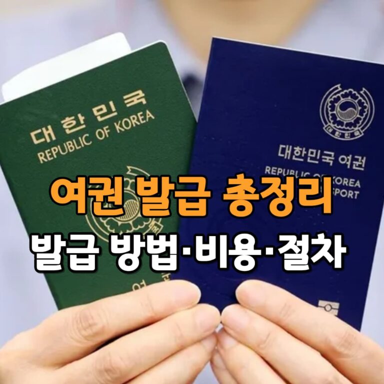 여권 발급